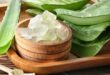 Manfaat Khasiat Gel Lidah Buaya untuk Kecantikan yang Perlu Anda Ketahui